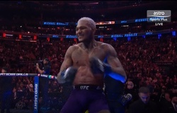 UFC 322: Michael Morales hủy diệt Sean Brady sau chưa đầy một hiệp