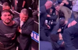 Hỗn chiến lớn tại UFC 322 giữa Dillon Danis với ê-kip phía Khabib