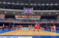 NEC Red Rockets và Himeji bứt phá tại giải bóng chuyền VĐQG Nhật Bản