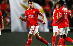 Nhận định, soi kèo Ajax vs Benfica: Khách lấn chủ nhà