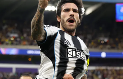 Nhận định, soi kèo Marseille vs Newcastle: Chích chòe hướng tới lịch sử