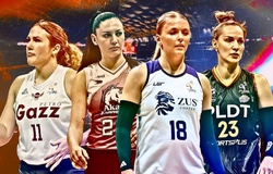 Bán kết PVL 2025: Ai là chủ lực khi Creamline không có mặt?