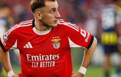 Nhận định, soi kèo Fenerbahce vs Ferencvaros: Khó có bất ngờ