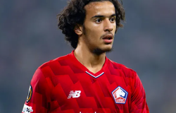 Nhận định, soi kèo Lille vs Dinamo Zagreb: Chiến thắng trong tầm tay