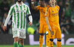 Nhận định, soi kèo Real Betis vs Utrecht: Điểm tựa sân nhà