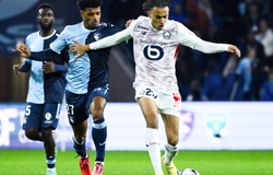 Nhận định, soi kèo Le Havre vs Lille: Thử thách lớn cho đội chủ nhà