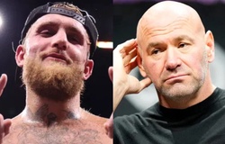 Jake Paul “cà khịa” UFC 324: Fan chê nhưng Jake lại là “người có lý”