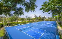 Pickleball và sự bùng nổ của trào lưu du lịch thể thao