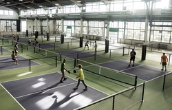 9 cách biến niềm đam mê pickleball thành nguồn thu nhập hấp dẫn