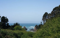 Pickleball đem đến trải nghiệm du lịch mới trên bờ biển Mendocino