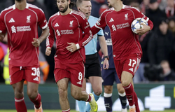 Nhận định, soi kèo Liverpool vs Sunderland: Tiếp đà hồi sinh