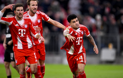 Nhận định, soi kèo Union Berlin vs Bayern Munich: Hùm xám gầm vang