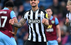 Nhận định, soi kèo Newcastle vs Burnley: Chích chòe gáy vang