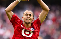 Nhận định, soi kèo Young Boys vs Lille: Cuộc chiến sinh tử