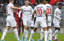 Nhận định, soi kèo Leverkusen vs Koln: Chủ nhà áp đảo