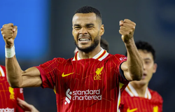 Nhận định, soi kèo Liverpool vs Brighton: Cuộc chiến cân bằng