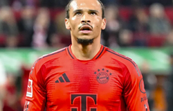 Nhận định, soi kèo Bayern Munich vs Mainz: Hùm xám giữ vững ngôi đầu