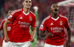 Nhận định, soi kèo Farense vs Benfica: Chênh lệch đẳng cấp