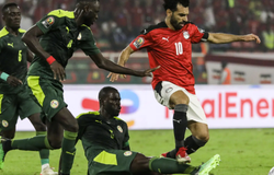 Nhận định, soi kèo Senegal vs Botswana: Sư tử Teranga thị uy sức mạnh