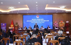 Chấm dứt tư cách thành viên VFF với 8 CLB, bãi nhiệm cựu Chủ tịch Cao Tiến Đoan