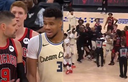Hỗn chiến sau trận Bucks - Bulls: Giannis giải thích lý do khiêu khích, Vucevic đáp trả cay nghiệt