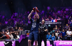 WTT Champions Doha 2026: Toàn cảnh trước giờ khai cuộc