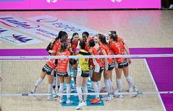 Honda Cuneo Granda Volley bước vào tuần thi đấu quan trọng hướng tới 2026