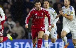Nhận định, soi kèo Liverpool vs Leeds: Hướng tới chiến thắng đầu năm