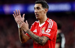 Nhận định, soi kèo Benfica vs Estoril: Giữ vững mạch bất bại sân nhà