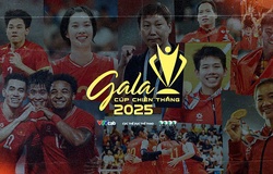 Danh sách các hạng mục đề cử giải thưởng Cúp Chiến thắng 2025