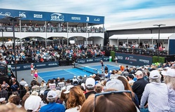 PPA Tour và MLP công bố tăng trưởng kinh doanh vượt bậc trong năm 2025