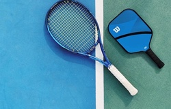 Pickleball bùng nổ, “lấn sân” tennis khi làn sóng chuyển đổi sân đấu lan rộng khắp nước Mỹ