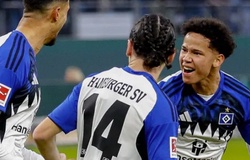 Nhận định, soi kèo Hamburg vs Leverkusen: Cuộc đấu khó lường
