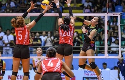 PVL bác đề xuất sáp nhập lực lượng giữa NXLED và Petro Gazz