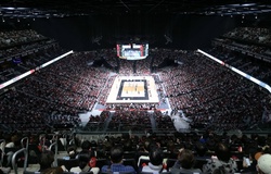 Suntory băng băng về đích, Sakai gây sốc khi quật ngã Tokyo hai lần