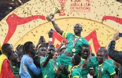 Senegal và Ma rốc thăng tiến mạnh mẽ trên bảng xếp hạng FIFA sau Cúp châu Phi