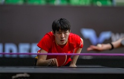 Wen Ruibo: Hiện tượng mới trên bản đồ bóng bàn thế giới