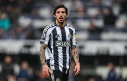 Arsenal có thể bất ngờ chiêu mộ Tonali sau khi mất trụ cột cả mùa giải