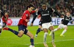 Nhận định, soi kèo Lille vs Crvena Zvezda: Đểm tựa sân nhà