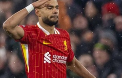 Nhận định, soi kèo Nottingham vs Liverpool: Thử thách lớn tại City Ground