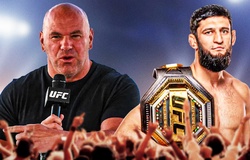 Đừng vội mơ "kèo đấu triệu đô": Dana White dằn mặt Khamzat Chimaev về việc chuyển hạng cân