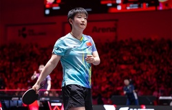 Từ đỉnh cao đến lịch sử mới: Singapore Smash 2026 làm thay đổi bản đồ bóng bàn