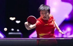 WTT Champions Chongqing 2026: Hàng loạt cặp đấu lớn xuất hiện ngay vòng đầu tiên