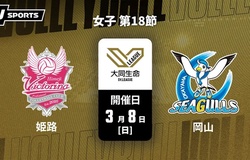 Highlight giải bóng chuyền VĐQG Nhật Bản: Bích Thuỷ ghi điểm xuất sắc nhất Okayama Seagulls