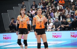 Link trực tiếp giải bóng chuyền Thai League: Nakhon Ratchasima vs Chonburi