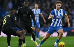 Tỷ lệ kèo trận Sunderland vs Brighton, 22h00 ngày 14/3, Ngoại hạng Anh