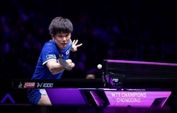 Harimoto hạ Lin Yun-Ju, sao trẻ Wen Ruibo thách thức “số 1 bóng bàn Nhật Bản” tại bán kết WTT Chongqing