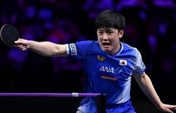 Ngôi sao số 1 bóng bàn Nhật Bản trở thành tâm điểm tranh cãi sau thất bại tại WTT Champions Chongqing