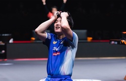 Tomokazu Harimoto - “Kẻ ở giữa hai làn ranh” của bóng bàn hiện đại