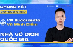 Succulento lên ngôi thuyết phục tại giải VĐQG ĐTCL Việt Nam Mùa 16